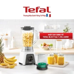 Máy xay sinh tố Tefal Blendeo BL2C1166 - 450W
